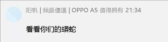 看看你们的蟒蛇.webp