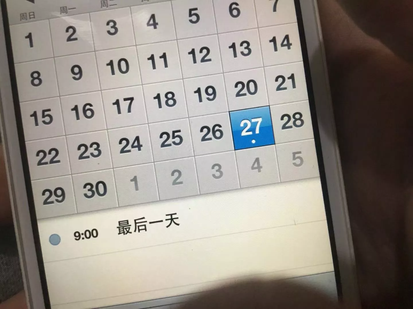 9117A657-73FC-4E65-A335-BF4F6B1DA075.webp